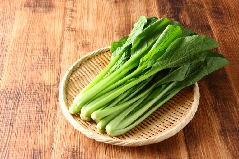 サラダにおすすめの葉物野菜 - 南あわじの野菜＆レシピの紹介 - 南あわじ市ホームページ（食の拠点推進課）