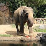 天王寺動物園で野菜がアツい！イベントレポート