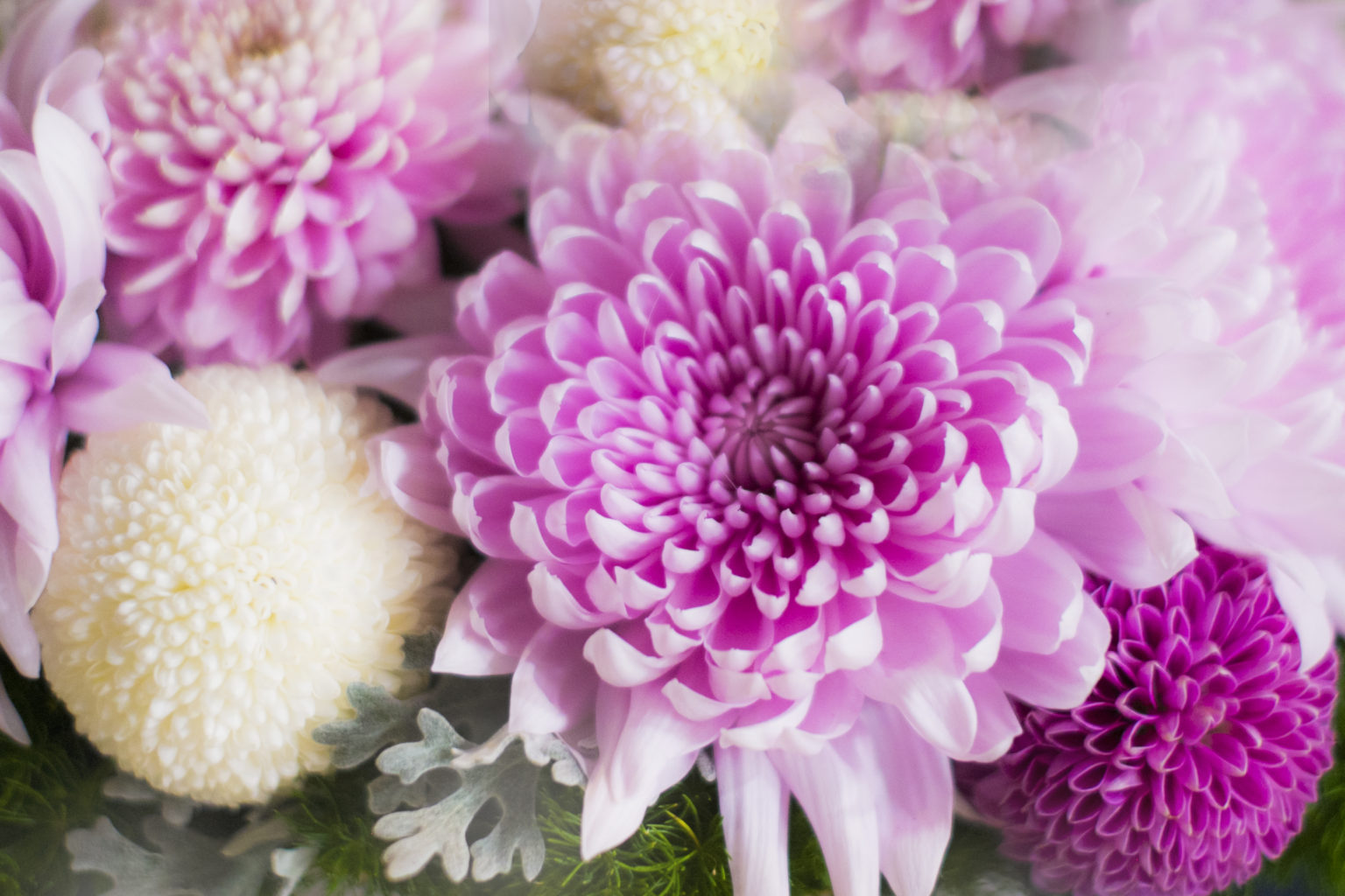 内科医 vs. 一般開業医